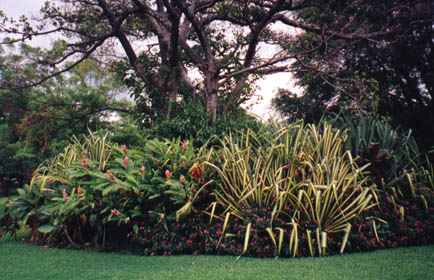 Cariari Gardens