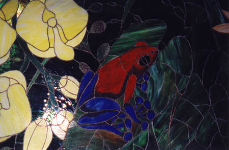 Red and Blue rainforest frogs