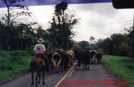 Costa Rican traffic jam!