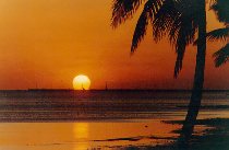 paradise sunset